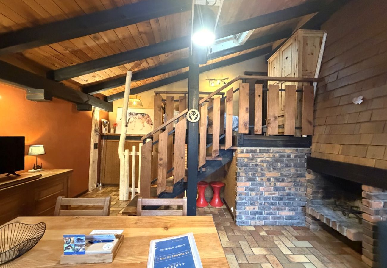 Séjour salon avec cheminée