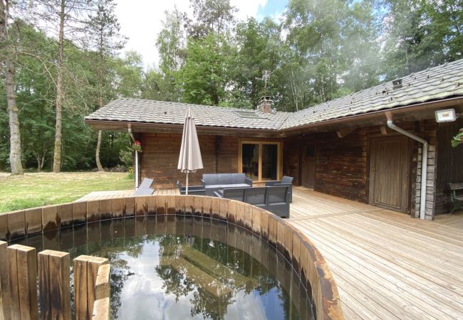 Jardin avec grande terrasse, salon de jardin, barbecue, spa finlandais