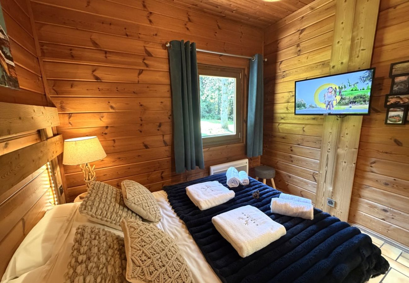 Chambre avec lit double et TV