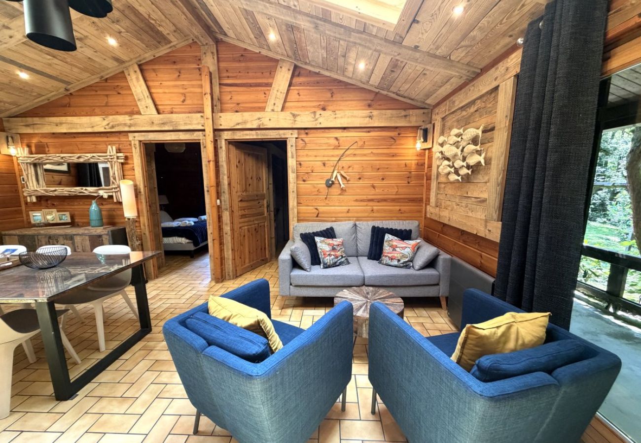 Séjour salon avec cheminée