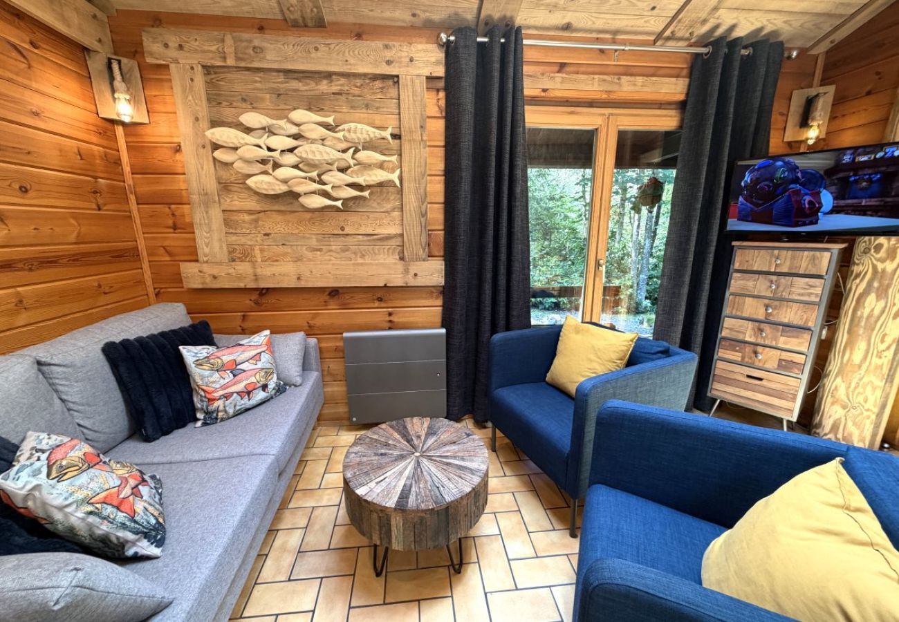 Séjour salon avec cheminée