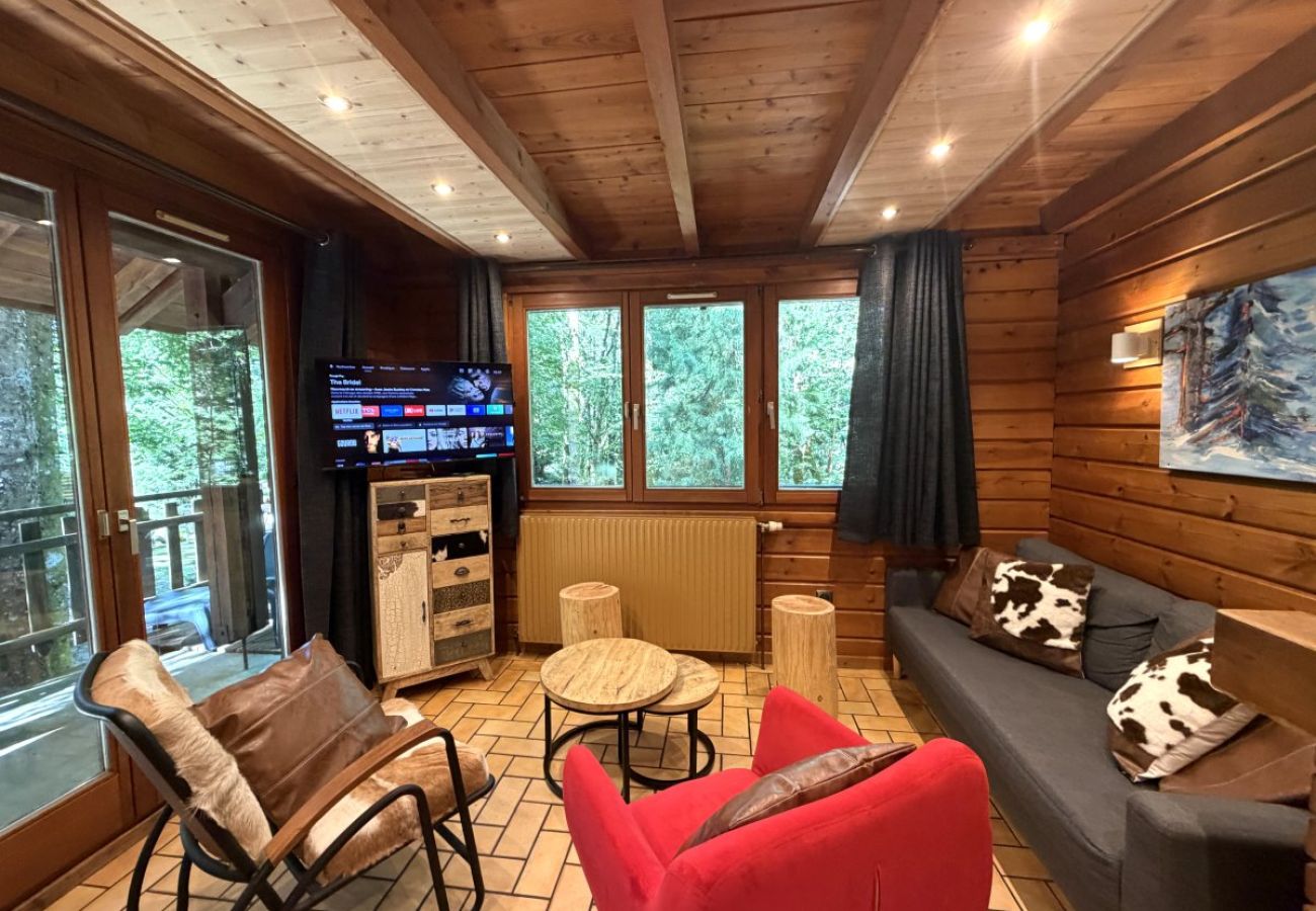 Séjour salon avec cheminée