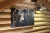 Chalet à La Bresse - L'OURS NOIR Chalet en rondins